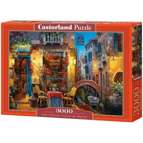 Puzzle place in venice 3000