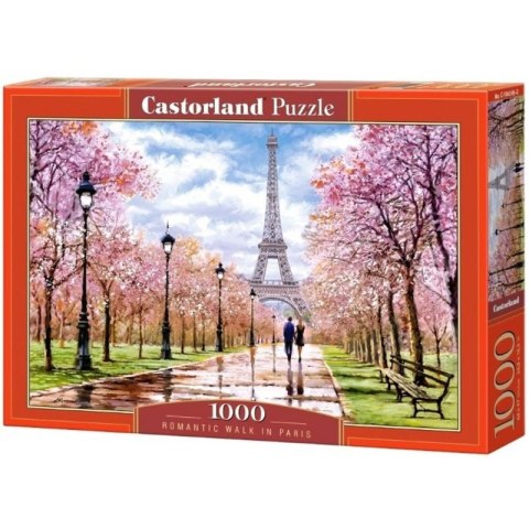 Puzzle walk in paris 1000