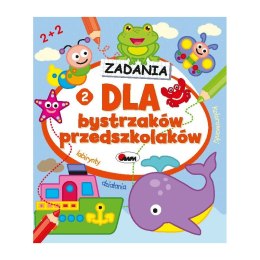 Dla bystrzaków przedszkolaków2