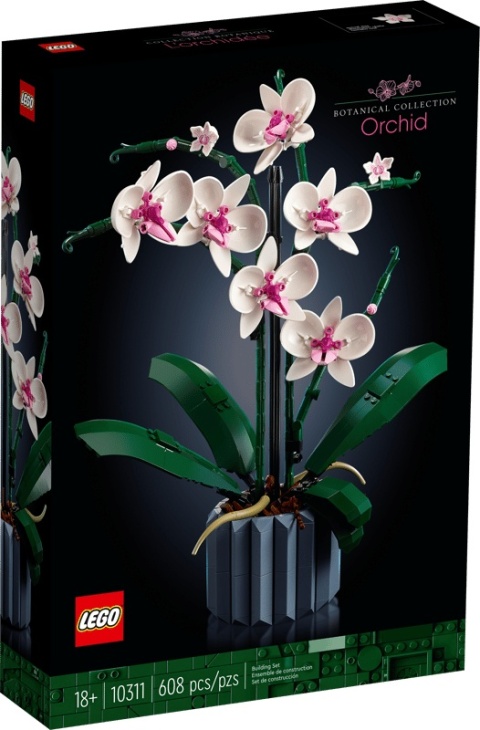 BOTANICALS ORCHIDEA
