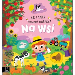 CO I JAK OTWÓRZ OKIENKA NA WSI