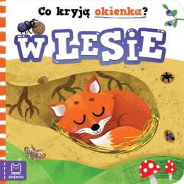 Co kryją okienka w lesie