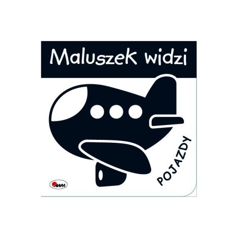 Maluszek widzi pojazdy