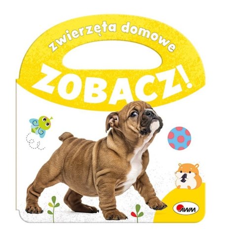 Zobacz zwierzęta domowe