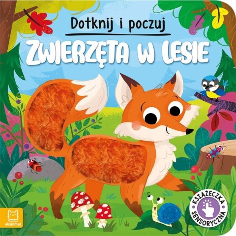 Zwierzęta w lesie sensoryczna