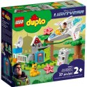 Duplo planetarna misja buzza