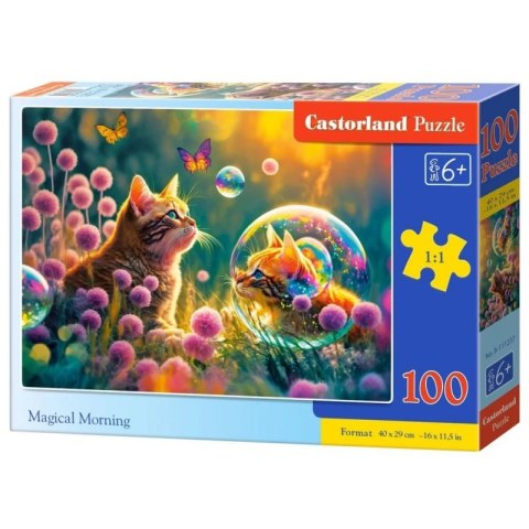 Puzzle 100 magical morning