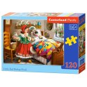 Puzzle 120el. red riding hood