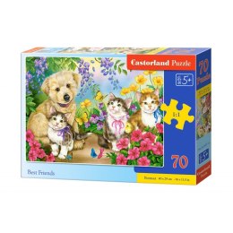 Puzzle 70 best friends